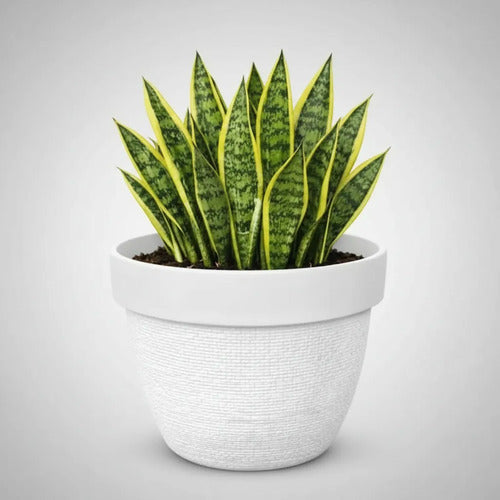 Maceta Plástica Decorativa Texturizada Redonda 25cm Ladrillo Blanco