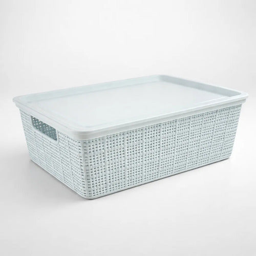 Caja Plastica Canasto Organizador Tapa 40x30x15cm Celeste