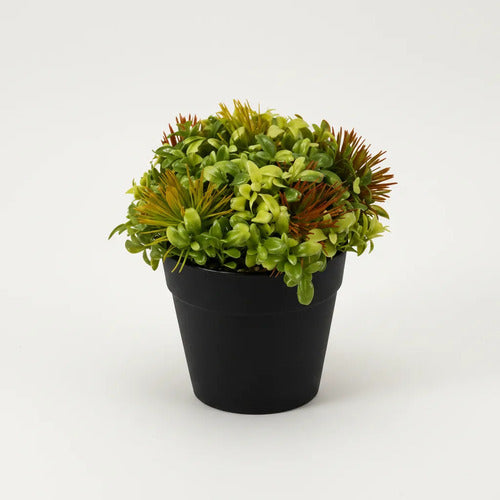 Maceta Con Planta Artificial Decorativa Maceta 15x8cm Negro