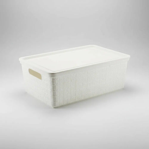 Caja Plastica Contenedor Organizador Tapa 40x30x15cm Blanco