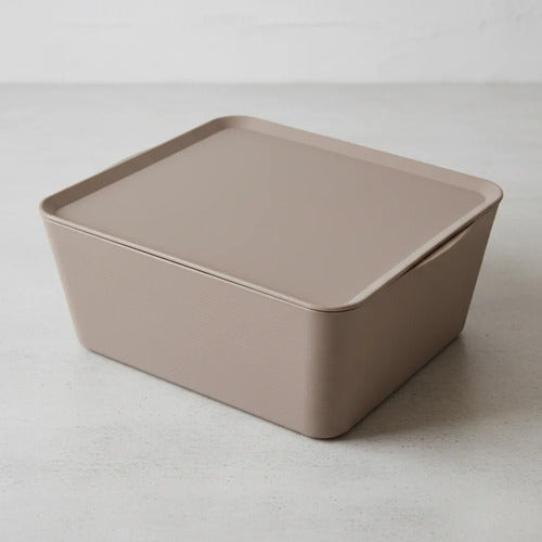 Caja Multiuso Plástica Organizadora Tapa Hogar 35x25x15cm Celeste