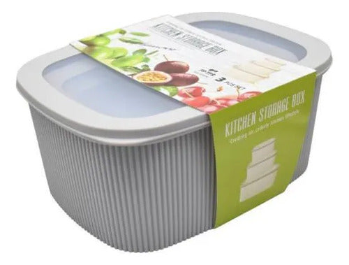 Set Recipientes Cocina Tapa Plasticos 3l 2l 1l Pack X3 Gris