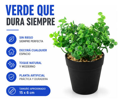 Planta Artificial Con Maceta Negra Decorativa 15x6cm Aleatorio