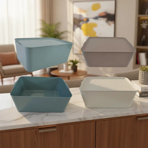 Caja Multiuso Plástica Organizadora Tapa Hogar 35x25x15cm Celeste