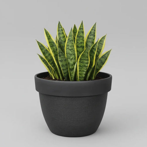Maceta Plastica Texturizada Redonda Decorativa 31cm Jardin Negro