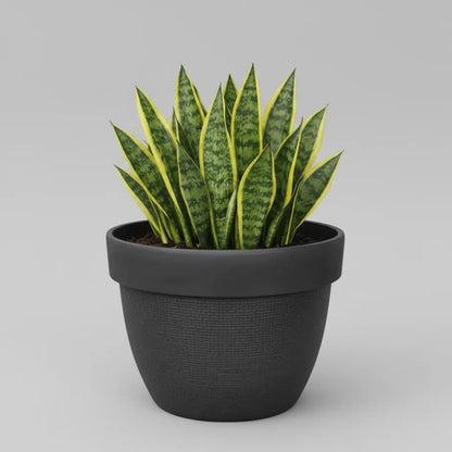Maceta Plastica Texturizada Redonda Decorativa 31cm Jardin Negro