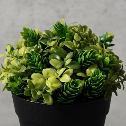 Maceta Planta Artificial Decorativa 15x6cm Diseño Surtido Aleatorio