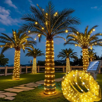 Set X2 Guia Solar Guirnalda Luces Led Calidas Lamparas 10mts Cálida