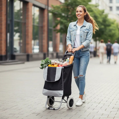 Carro Compras Bolso Impermeable Con 2 Ruedas 95x34x27 Cm Negro