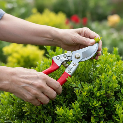 Tijera Podar Plantas Jardinería Acero Resorte 20cm Blister Negro