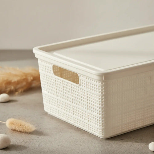 Caja Plastica Contenedor Organizador Tapa 40x30x15cm Blanco