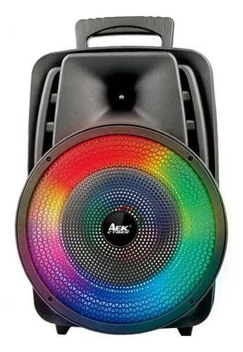 Parlante Inalambrico Bluetooth Ios Android 8 Pulgadas Luces Negro