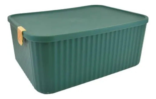 Caja Organizadora Plástica Tapa 30x23x12cm Cierre Verde