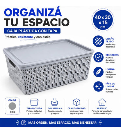 Caja Plastica Multiuso Organizadora Con Tapa 40x30x15cm Gris