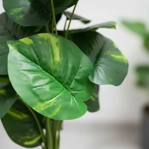 Planta Artificial Decorativa Interior Hojas Base Plastica Verde 220cm