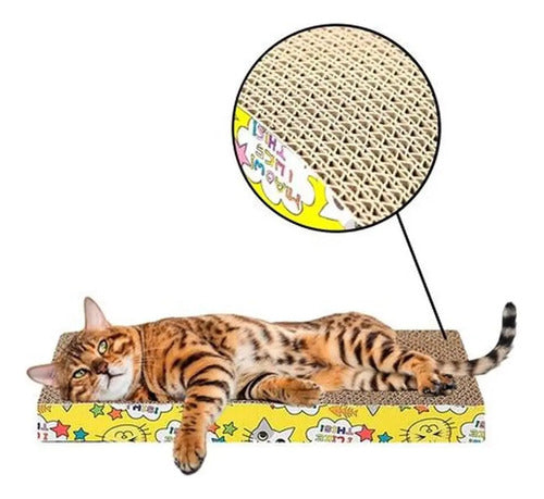 Rascador Gatos Plano Rectangular Corrugado De Carton Varios