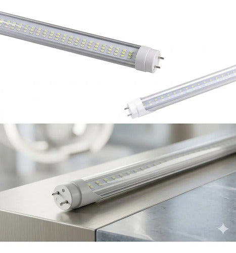 Lámpara Tubo Led 60cm G13 Bajo Consumo Blanco Frío