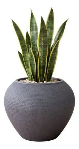 Maceta Plástica Decorativa Texturada Redonda Drenaje 18x24cm Gris