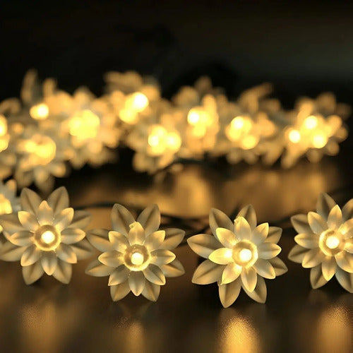 Guia Solar Guirnalda Luces Led Calidas Y Rgb Lamparas 5 Mts