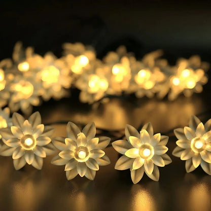 Guia Solar Guirnalda Luces Led Calidas Y Rgb Lamparas 5 Mts