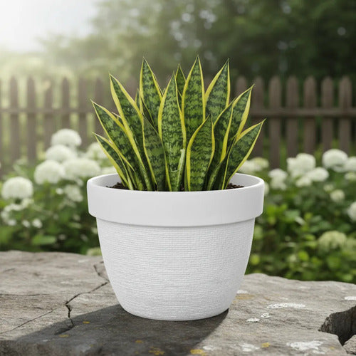 Maceta Plástica Decorativa Texturizada Redonda 25cm Ladrillo Blanco