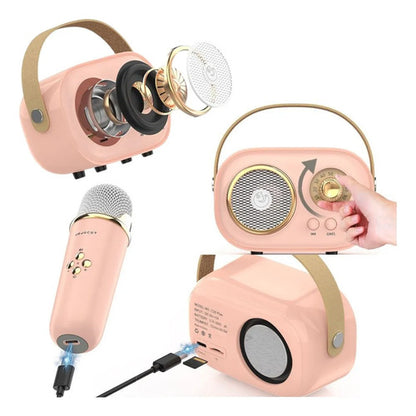 Parlante Karaoke Portatil Bluetooth Microfono Inalambrico Aleatorio