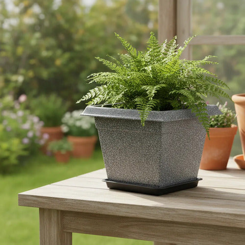 Maceta Decorativa Plástica Plato Cuadrada 23x17cm Liviano Gris