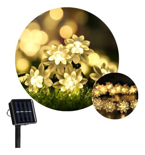 Guia Solar Guirnalda Luces Led Calidas Y Rgb Lamparas 5 Mts