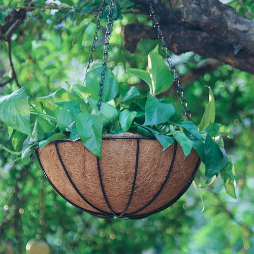 Maceta Jardin Colgante Rustica De Fibra De Coco Varios