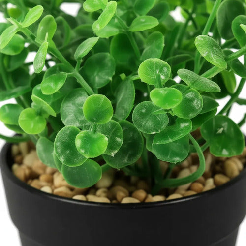 Planta Artificial Con Maceta Negra Decorativa 15x6cm Aleatorio