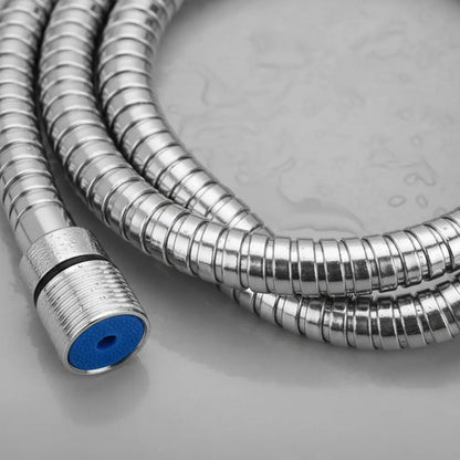 Manguera Flexible Ducha Pvc Reforzada Acero Inoxidable 2mts Plateado