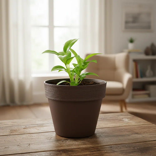 Maceta Jardín Plástica Redonda Liviana 30x26cm Planta Flores Marrón