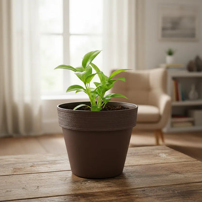 Maceta Jardín Plástica Redonda Liviana 30x26cm Planta Flores Marrón