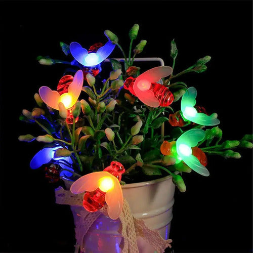 Guia Solar Guirnalda Luces Led Calidas Y Rgb Lamparas 5 Mts