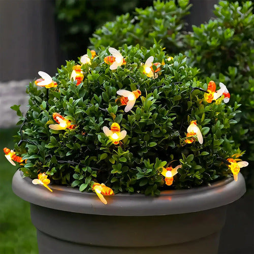 Guia Solar Guirnalda Luces Led Calidas Y Rgb Lamparas 5 Mts