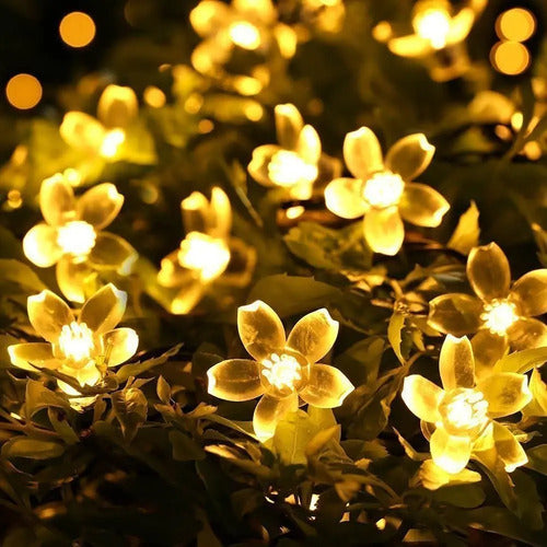 Guirnalda Solar Guia Luces Led Calidas Lamparas Decorar 10mt