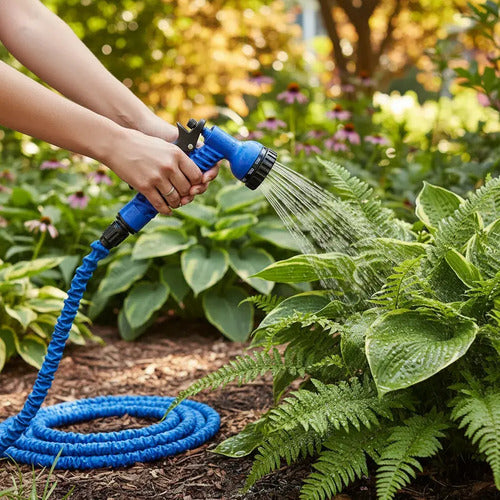 Manguera Retractil Expandible Jardin Regar 30m Con Puntero Azul/verde