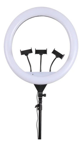 Aro De Luz Led 47cm Con Tripode Control Remoto Y 3 Soportes Blanco Blanco Cálido