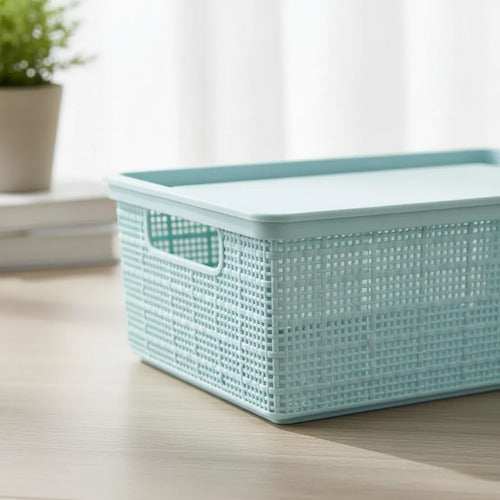 Caja Plastica Canasto Organizador Tapa 40x30x15cm Celeste