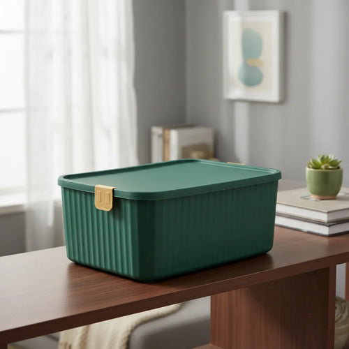 Caja Organizadora Plástica Tapa 30x23x12cm Cierre Verde
