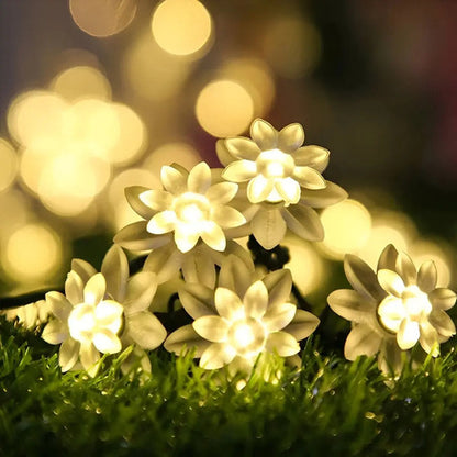 Guirnalda Solar Guia Luces Led Calidas Y Rgb Lamparas 5 Mts