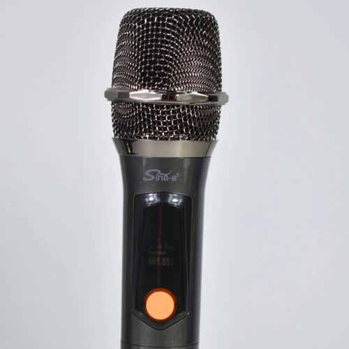 Parlante Bluetooth Equipo Karaoke Microfono Luces Rgb 300w Negro