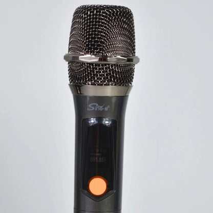 Parlante Bluetooth Equipo Karaoke Microfono Luces Rgb 300w Negro
