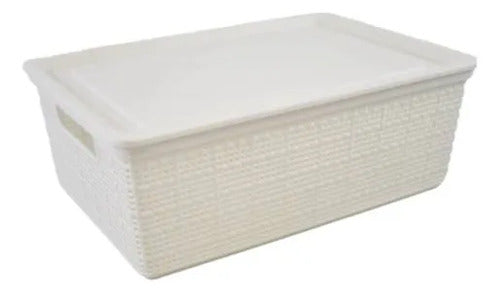 Caja Plastica Contenedor Organizador Tapa 40x30x15cm Blanco