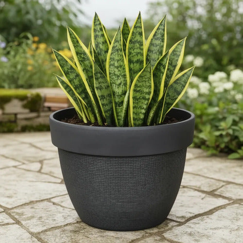 Maceta Plastica Texturizada Redonda Decorativa 31cm Jardin Negro