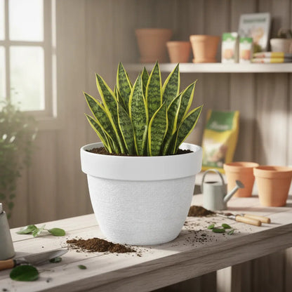 Maceta Plastica Texturizada 31x23cm Jardin Redonda Hogar Blanco