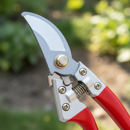 Tijera Podar Plantas Jardinería Acero Resorte 20cm Blister Negro