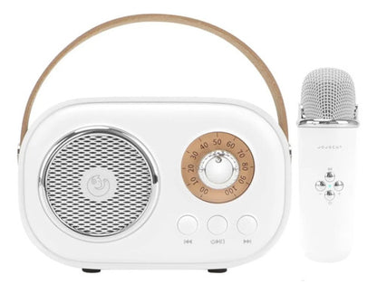 Parlante Karaoke Portatil Bluetooth Microfono Inalambrico Aleatorio