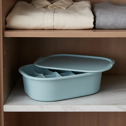 Caja Organizador Plástico Ropa Interior Compartimientos 32cm Aleatorio