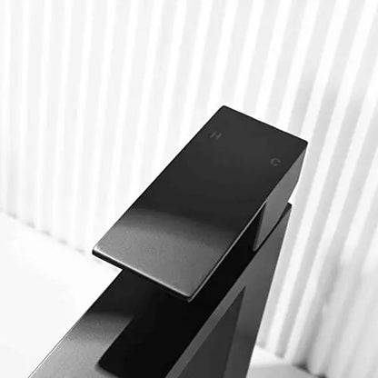 Grifo De Baño Negro Mate De Un Solo Orificio Manija In